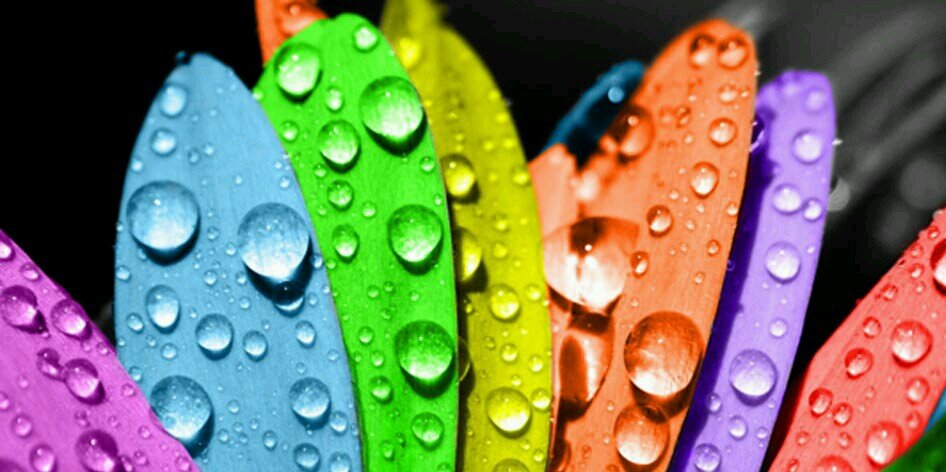 hudatooth's profile banner image