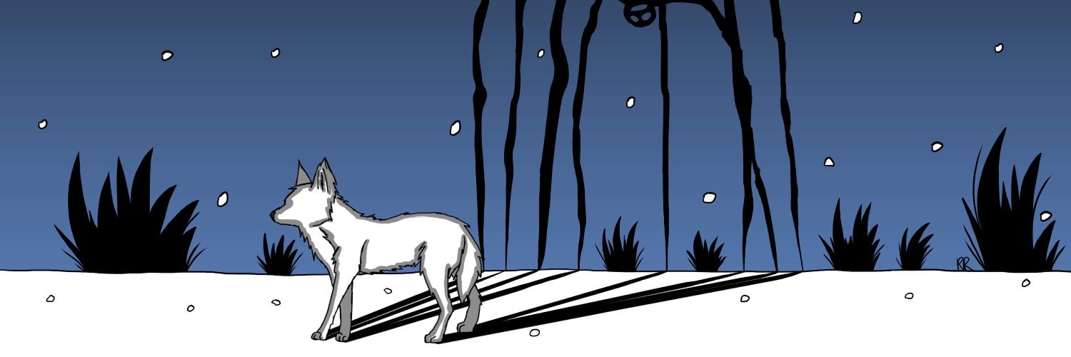 Romain Raimbault banner