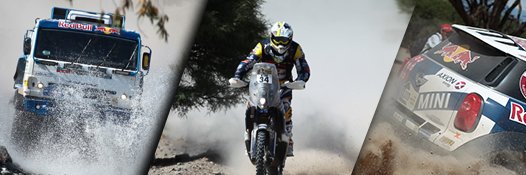 rallyltu's profile banner image