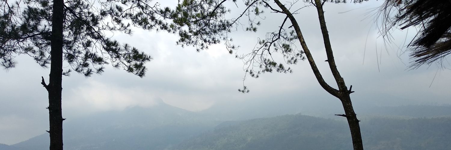 widaambarw's profile banner image