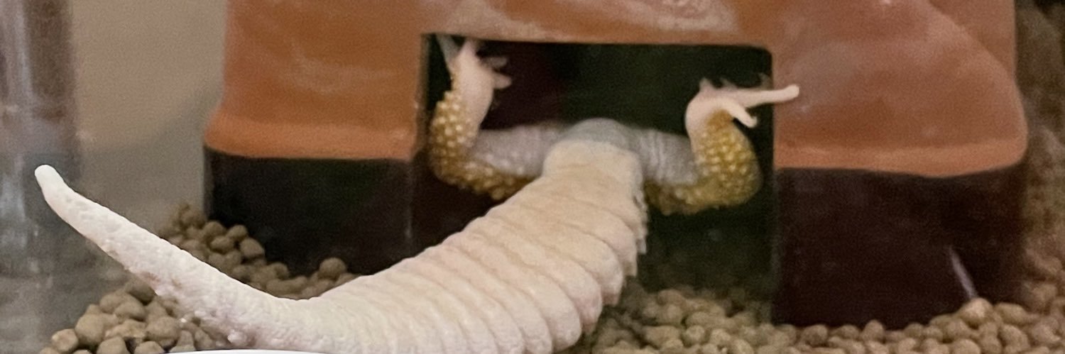 ラモビモ@Aqours finale参戦 banner