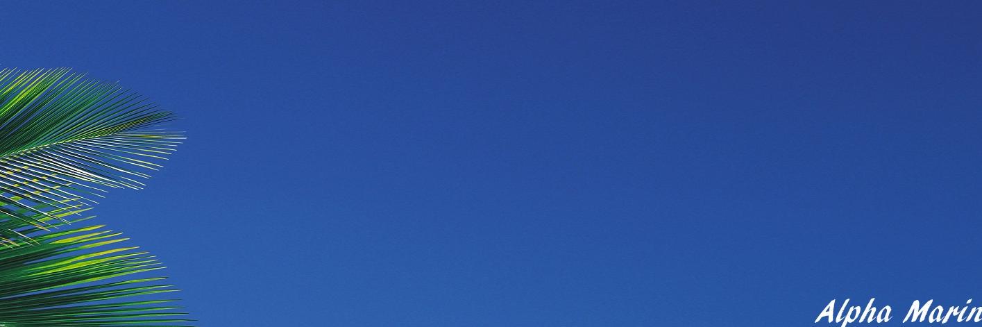 AlphaMarine_fr's profile banner image