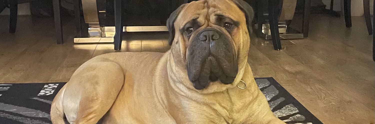 ChloeKerryx's profile banner image