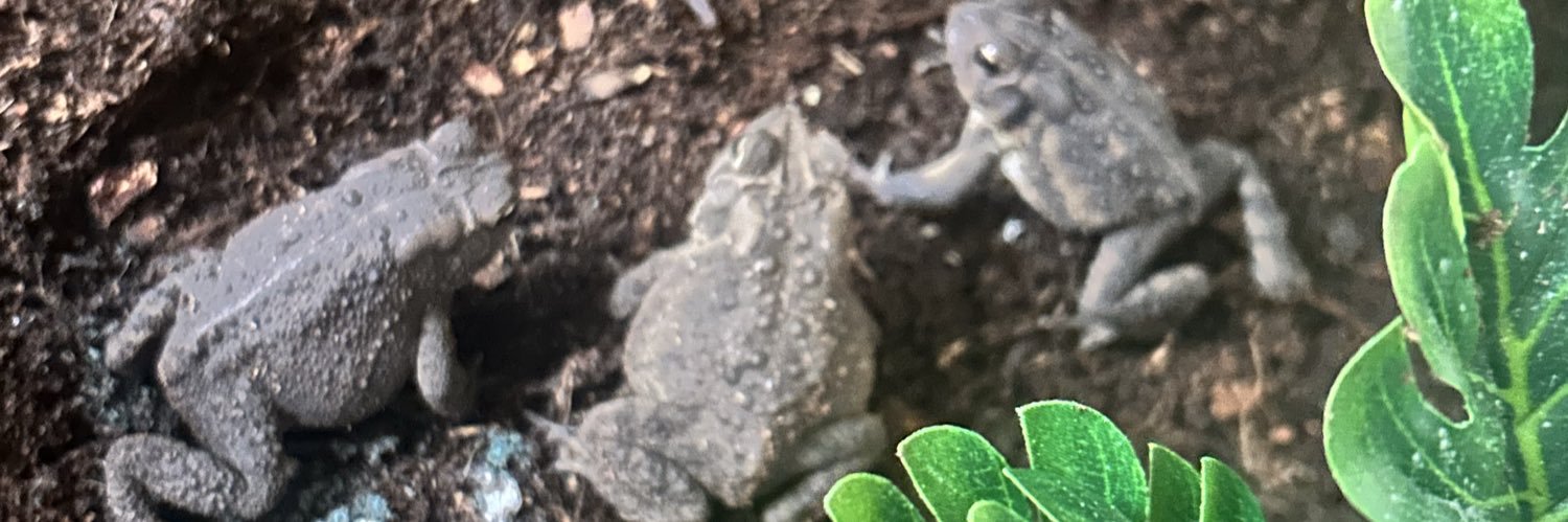 theseerreturns's profile banner image