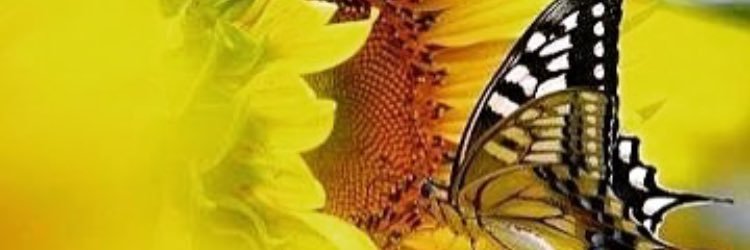 Marcioh_Homem's profile banner image