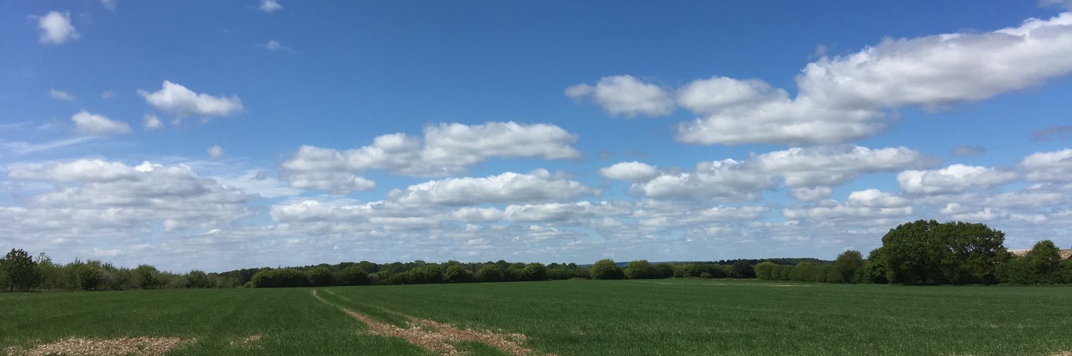 Adrian Zolotuhin banner