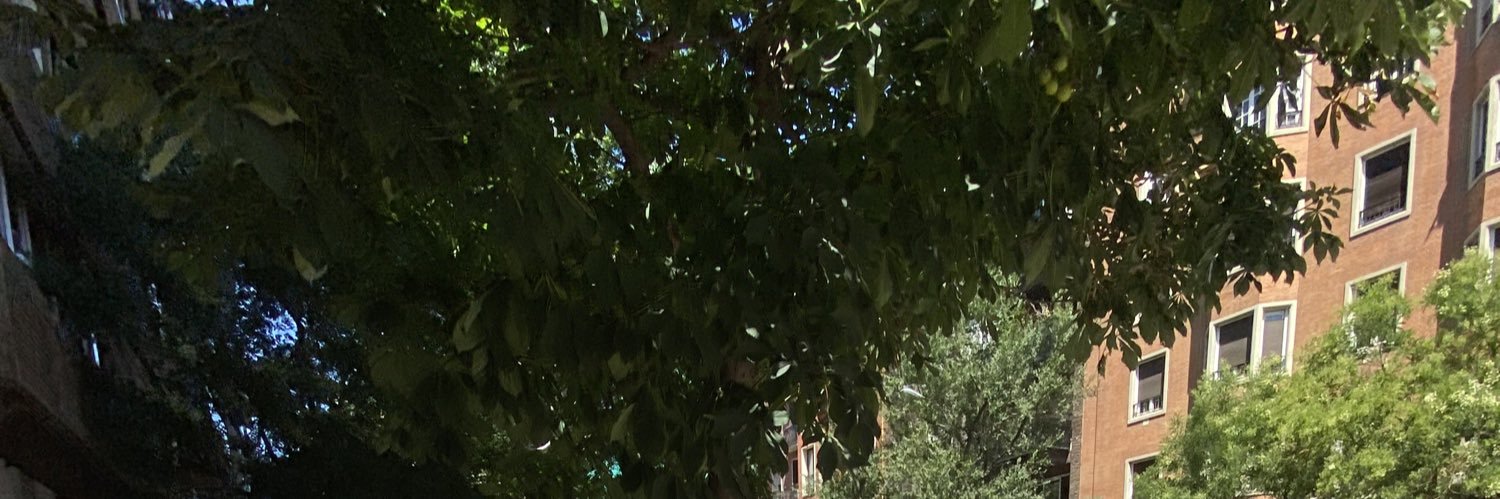 droyxd's profile banner image