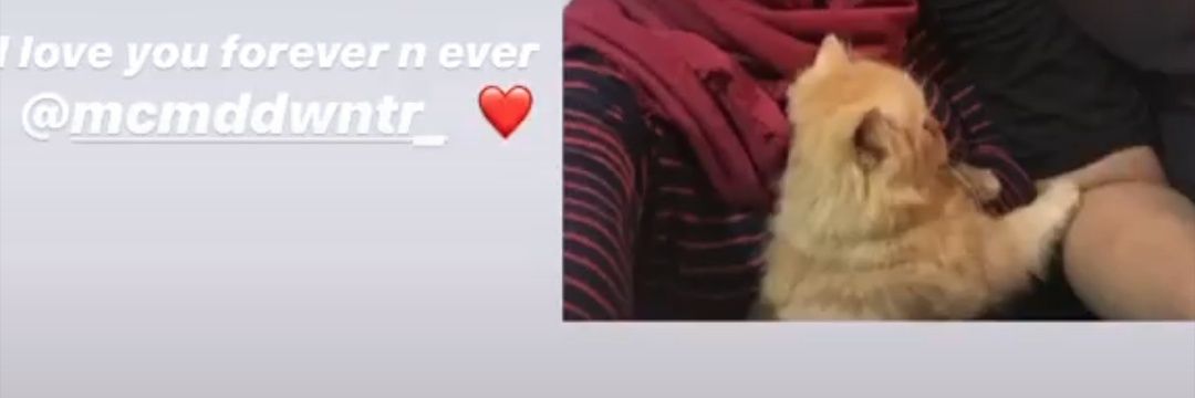 Devandagitaa's profile banner image