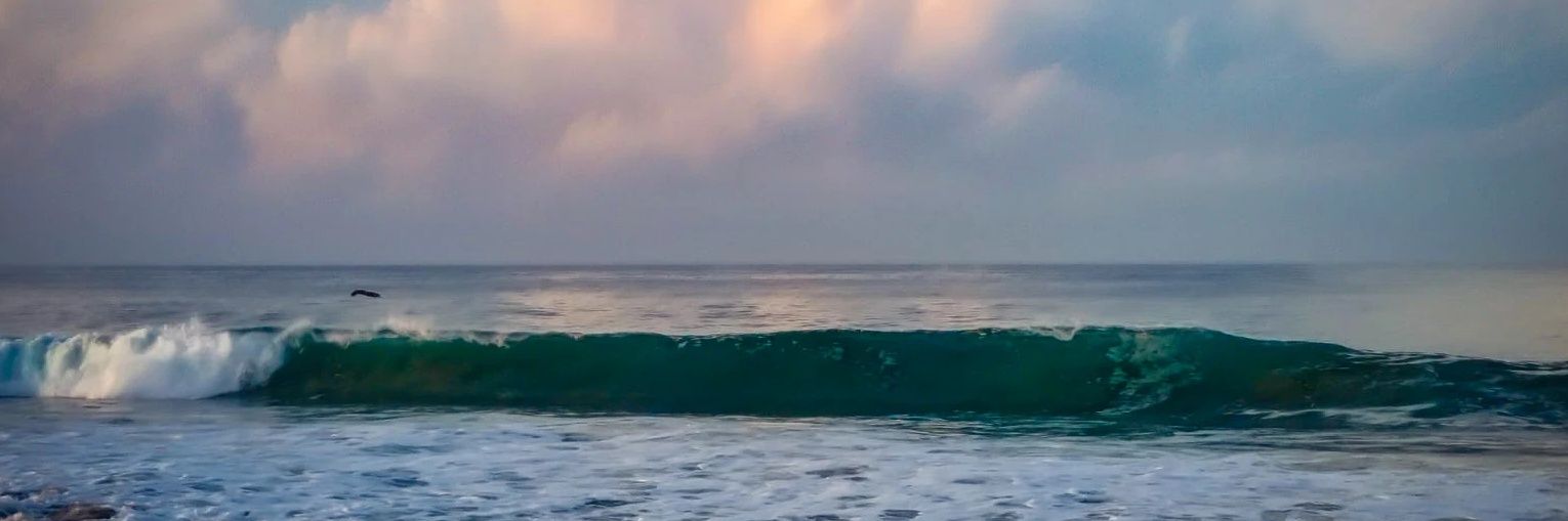 mvb10125's profile banner image