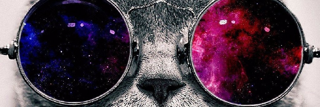DoriGarzon8's profile banner image