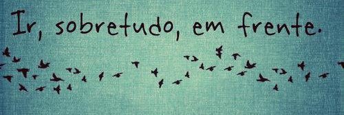 C. Brignoni🌿🍀🍃 banner