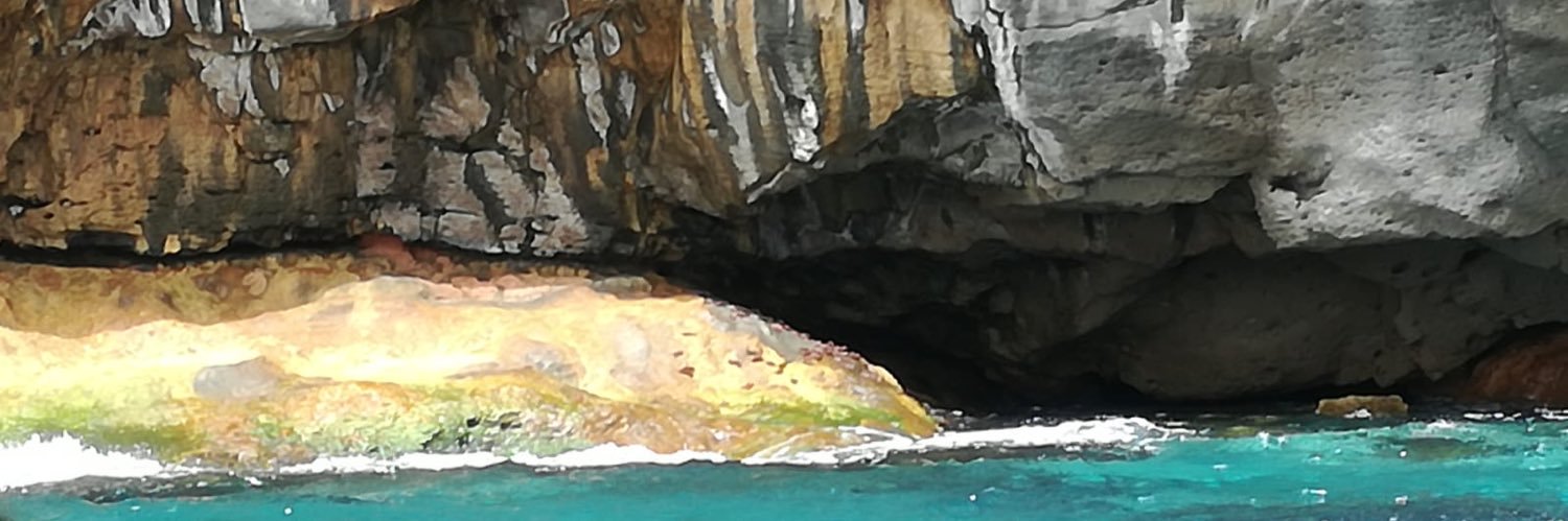 polillo28466's profile banner image