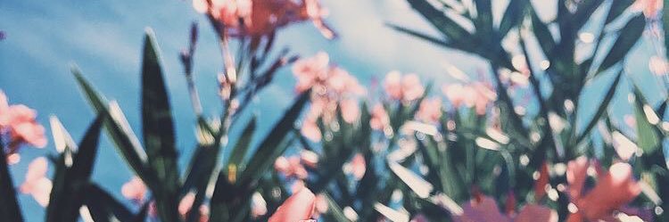 KenseyGrace's profile banner image