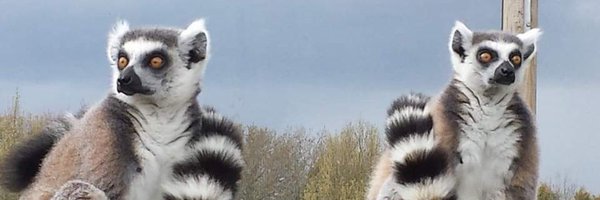 ChrisTJones1966 Profile Banner