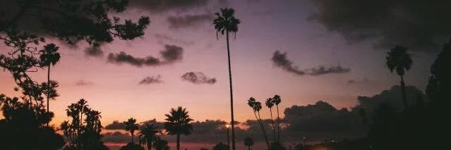 9898_Bianca's profile banner image
