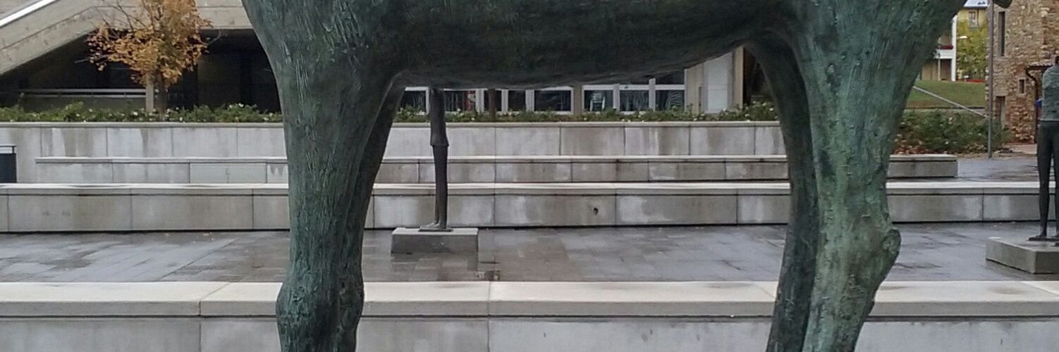 pleopizzi's profile banner image