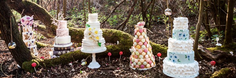 Fifiscakery's profile banner image