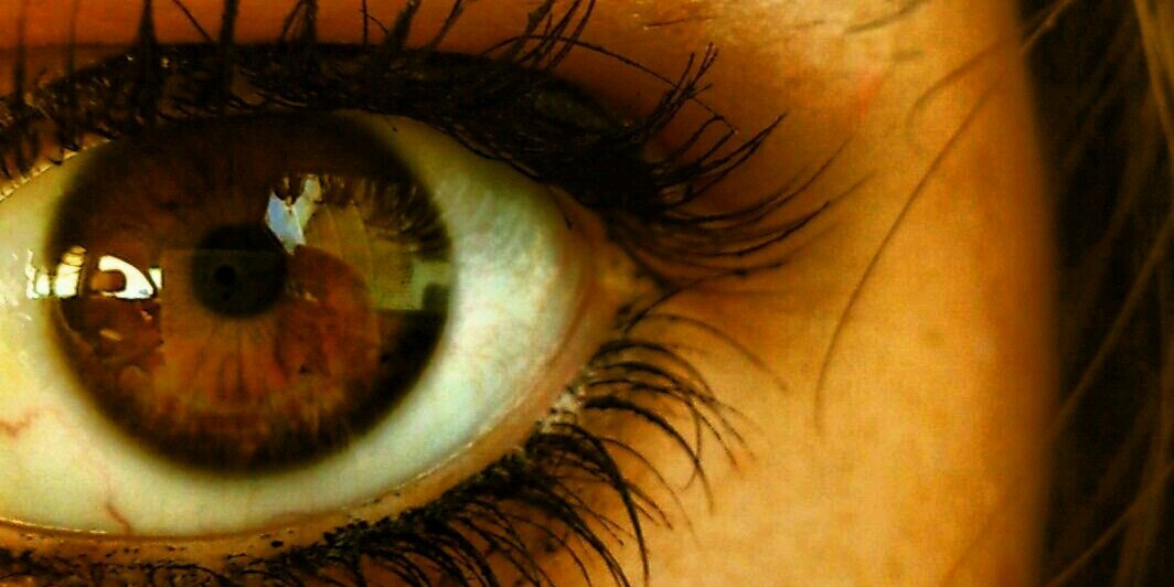 MariadoLoBle's profile banner image
