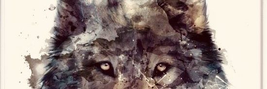 selmanizma's profile banner image