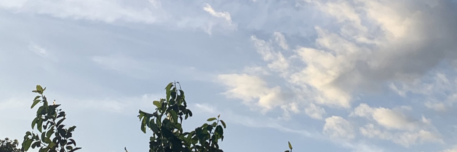 _notpatra's profile banner image
