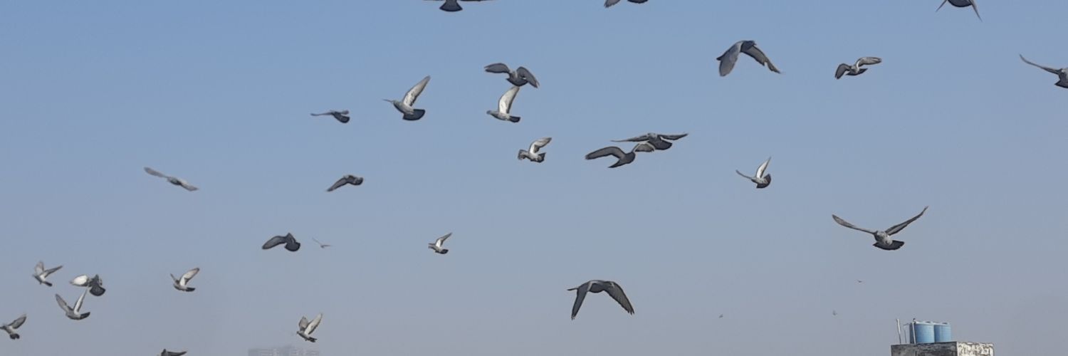 rishabh532's profile banner image