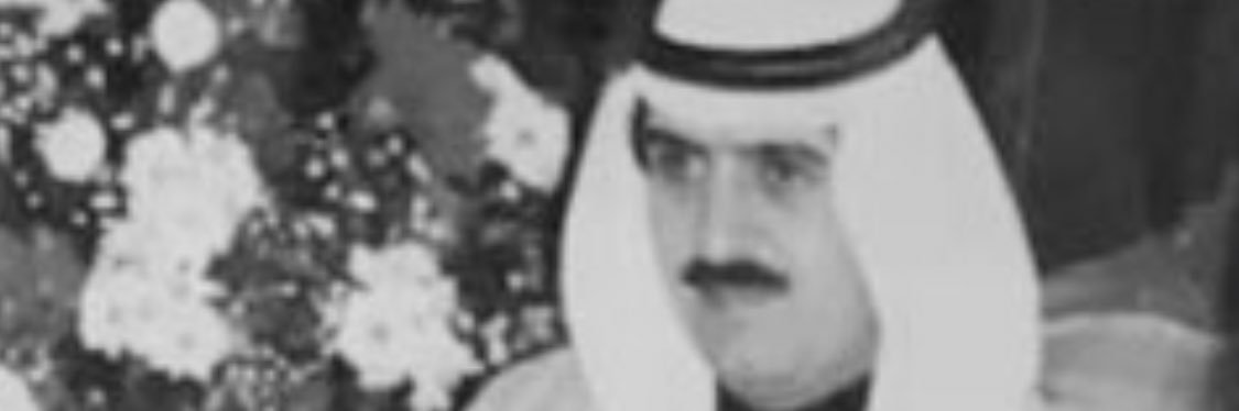 RMDALRAYES's profile banner image