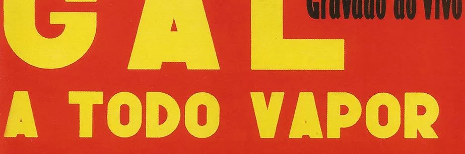 Dudu Pinto banner