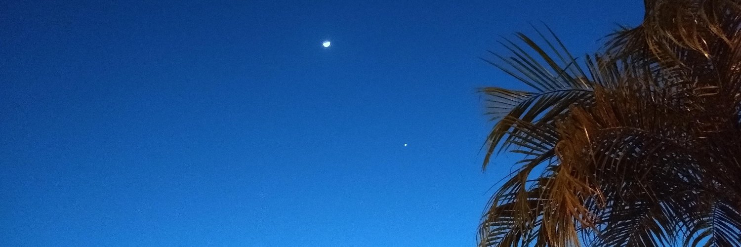 meliroa's profile banner image