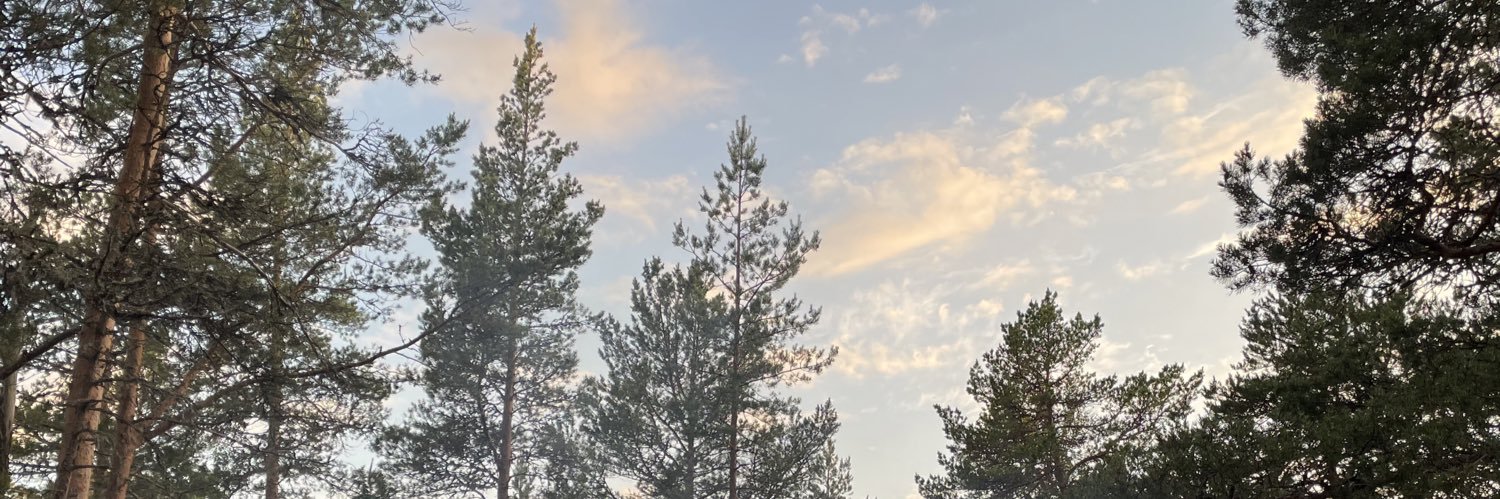 LehtiT's profile banner image