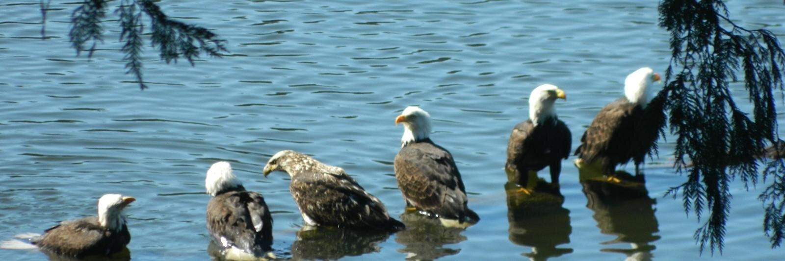 bignutsbill's profile banner image