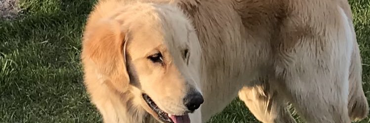 Davidson_98's profile banner image