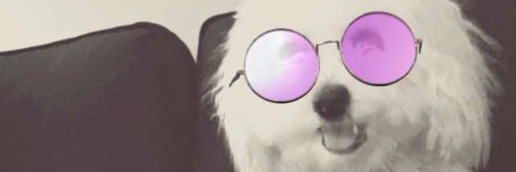 A04FFF's profile banner image
