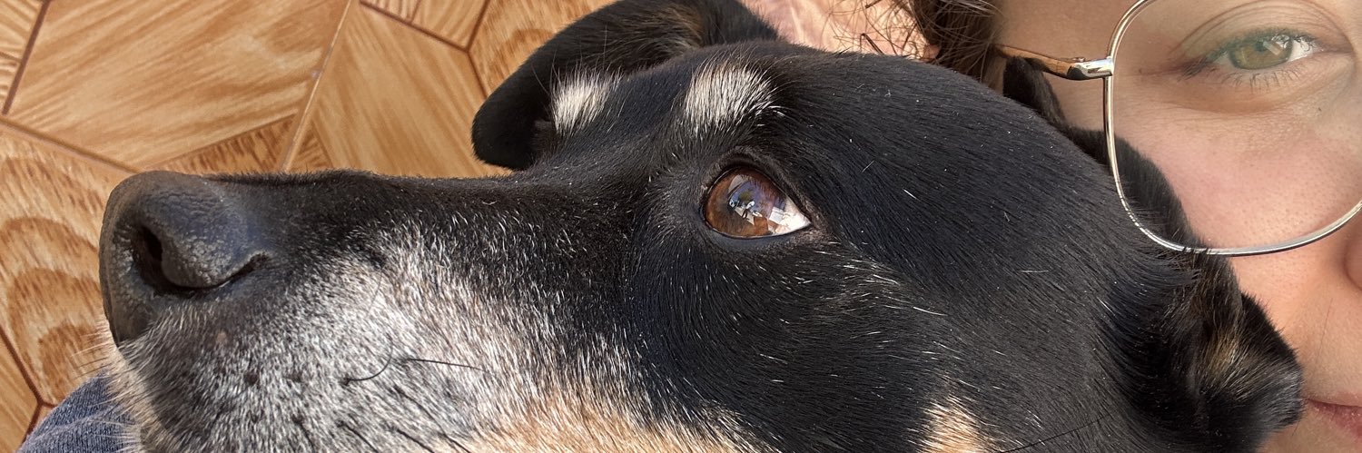 manolimp15's profile banner image