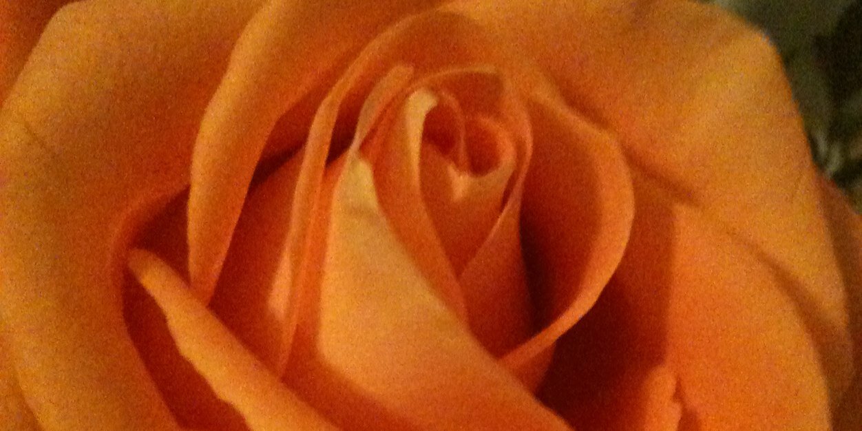Janine_Ehr's profile banner image