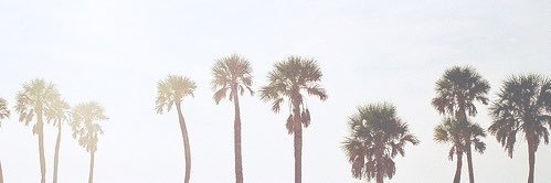 MelissaRPete's profile banner image