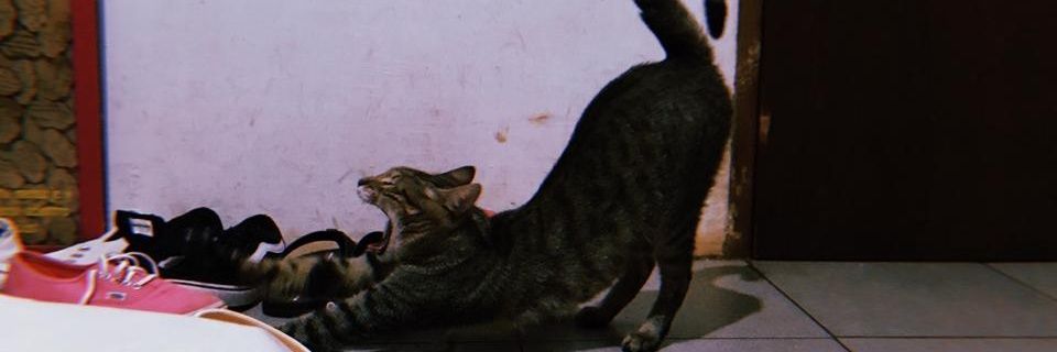 b_val20's profile banner image