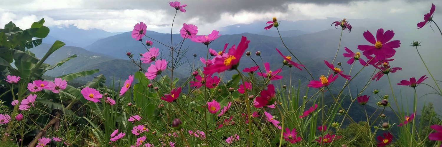 thekakhothaoli's profile banner image