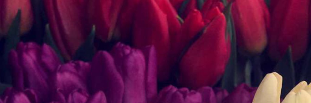 albatool19's profile banner image