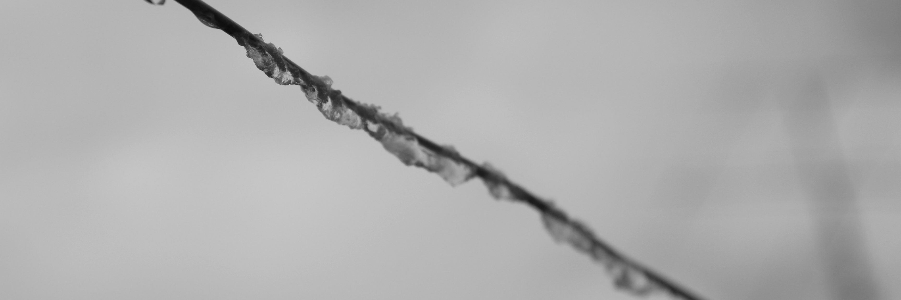 julribera's profile banner image
