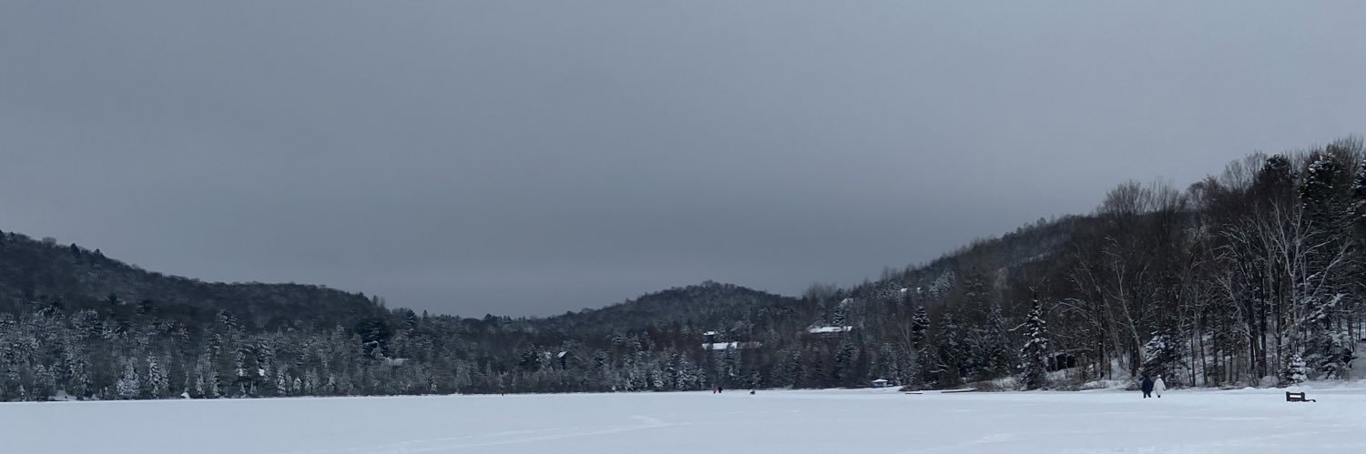Twitter banner for @dangled