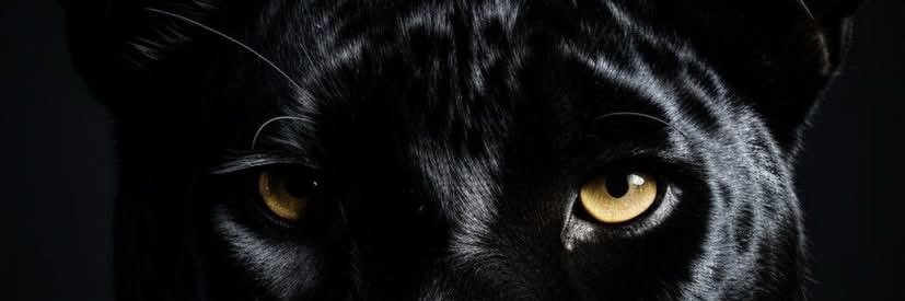 𝐋𝐮𝐜í𝐚 𝐒𝐨𝐫𝐢𝐚🌬️🫧 banner