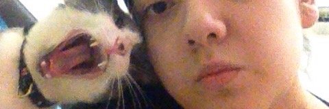 chinitojorge's profile banner image