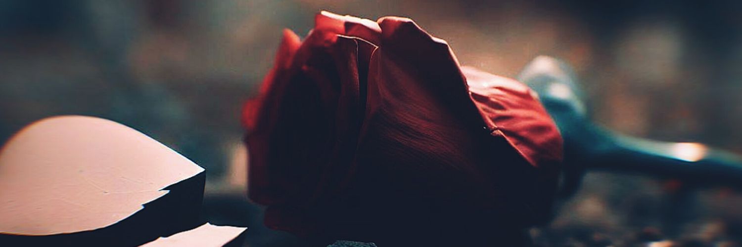 baselm's profile banner image