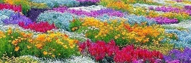 Prof Mahjoob Zweiri (محجوب الزويري ) banner