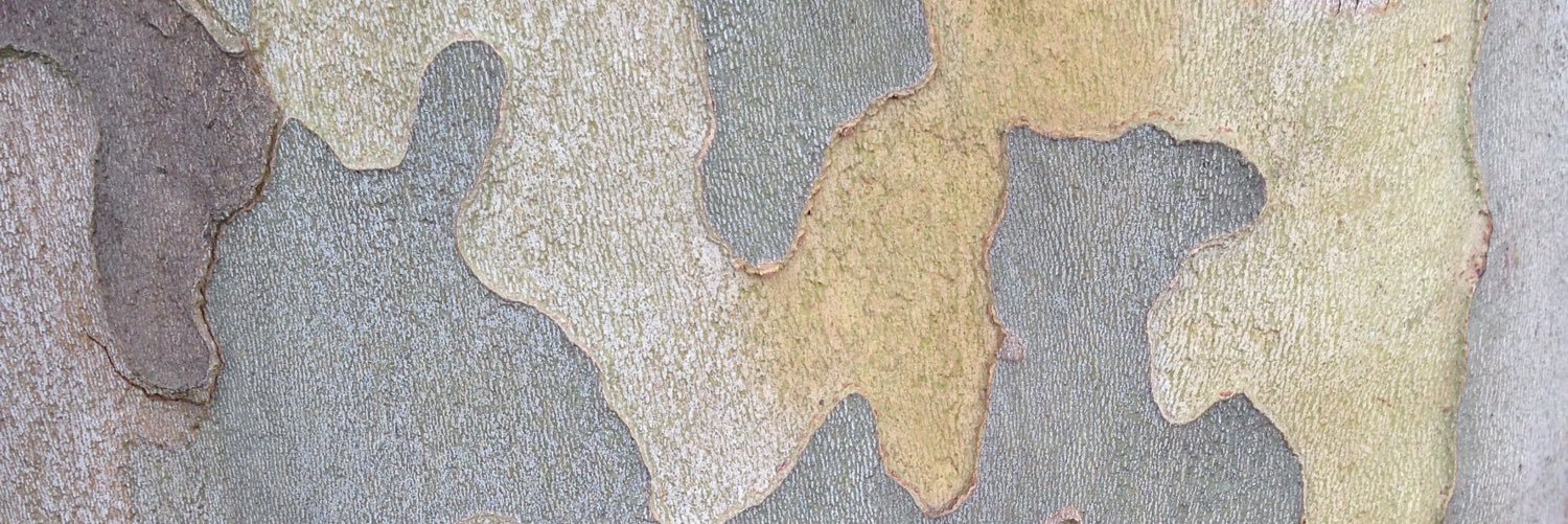 youroldbones's profile banner image