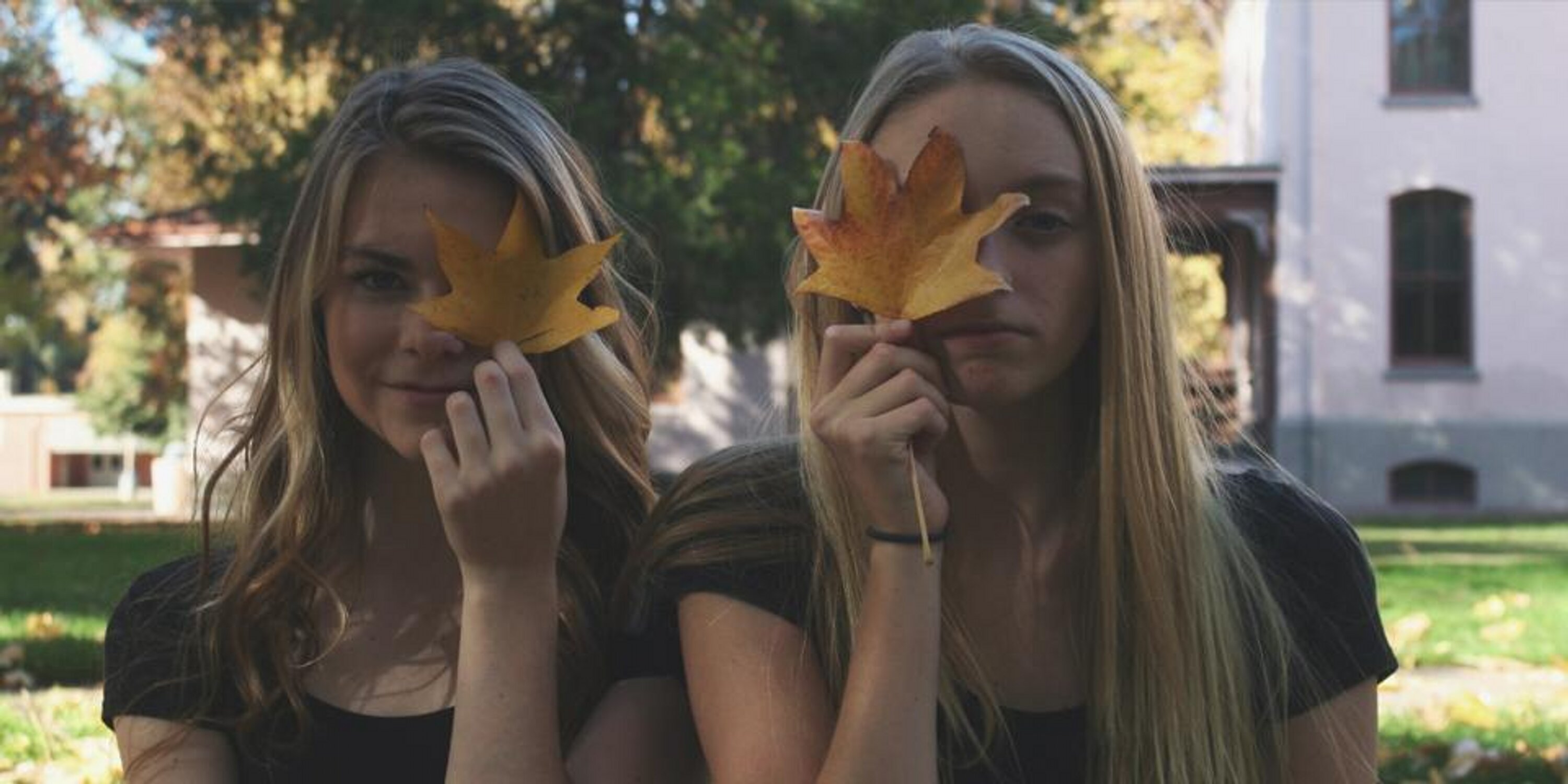 liananicolee's profile banner image