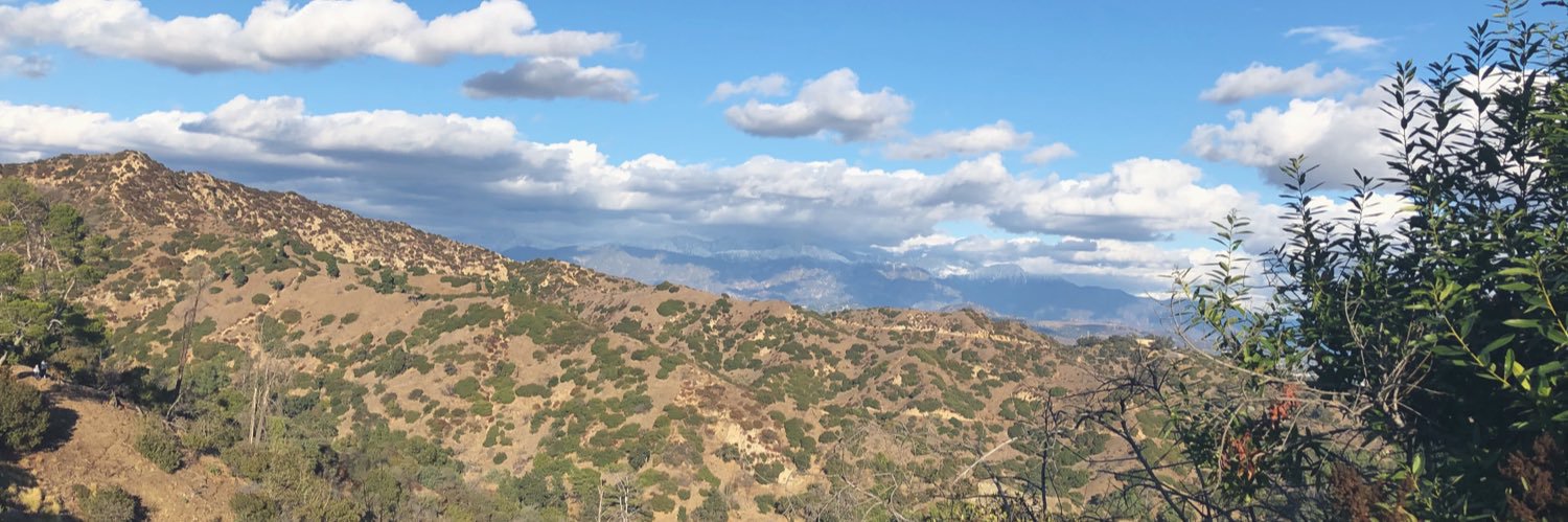 BaileyChrivia's profile banner image