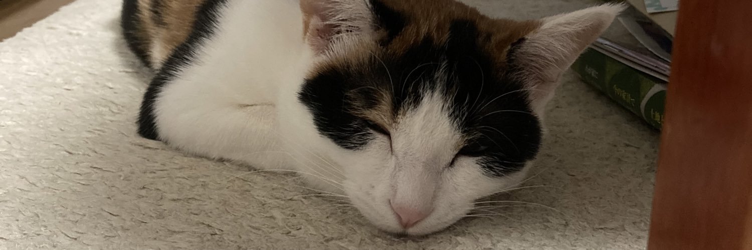atro's profile banner image