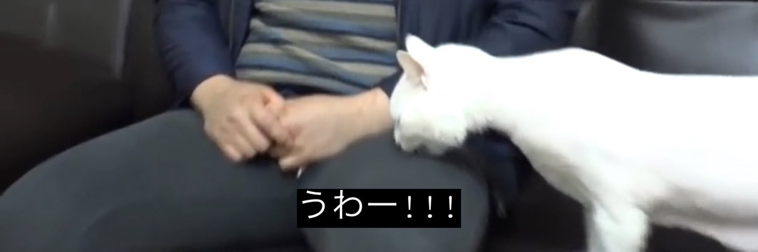 みさ banner