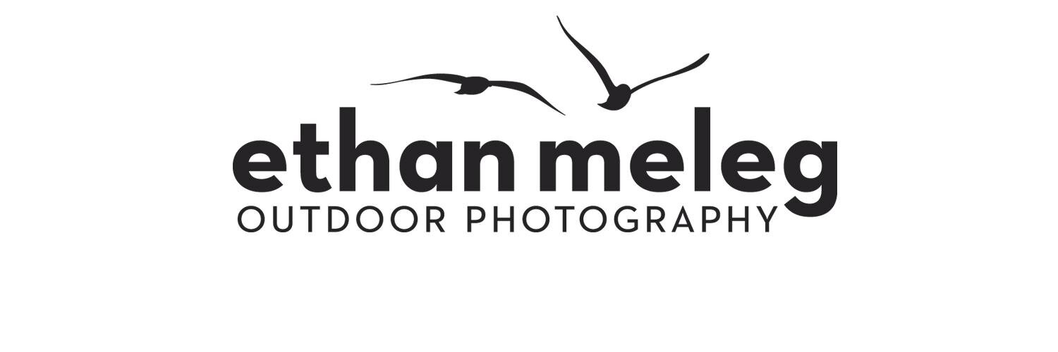 Ethan Meleg banner